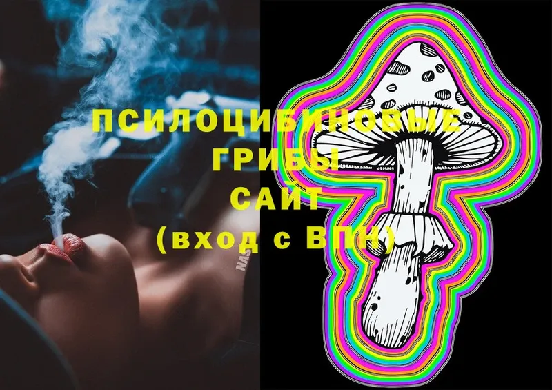 OMG рабочий сайт  купить наркотики цена  Пермь  Галлюциногенные грибы MAGIC MUSHROOMS 