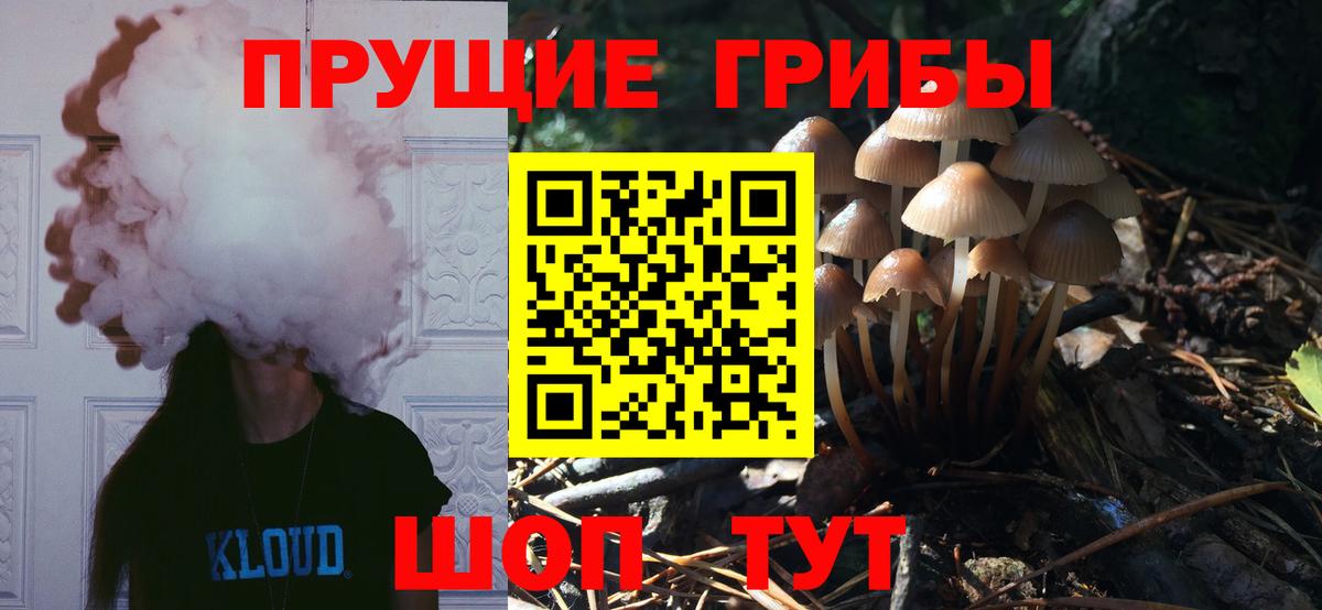 Галлюциногенные грибы Cubensis  Вход с VPN  Пермь 